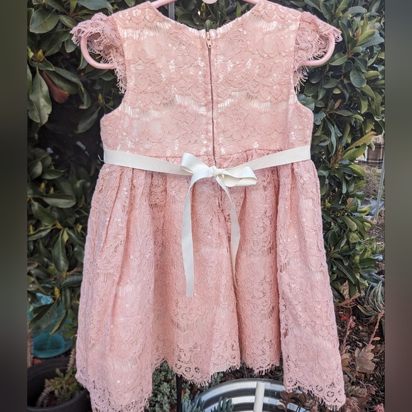 Rare Editions Cap Sleeve Pink Lace Dress Size 24 mos - Picture 5 of 10